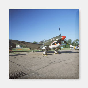 Curtiss P-40 Warhawk, auf der Minnesota CAF Air Sh Magnet