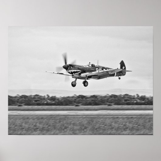 Curtiss P-40 Warhawk Fighter Air Flugzeug Poster (Vorne)