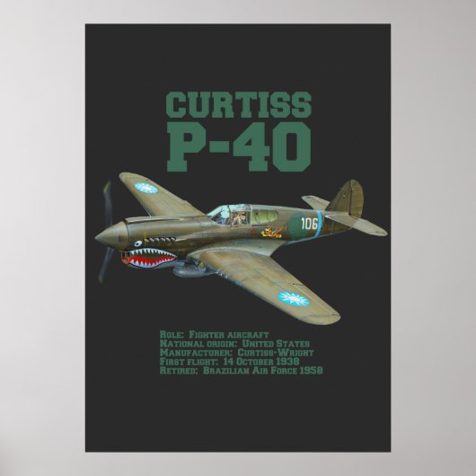 Curtiss P-40 Warhawk | WW2-Flugzeug Poster (Vorne)