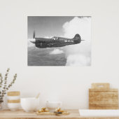 Curtiss P-40E Poster (Küche)