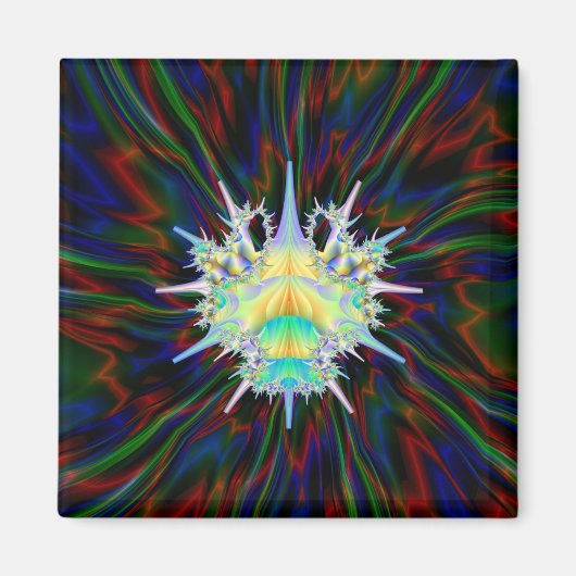 Curto Bug Magnet (Vorne)