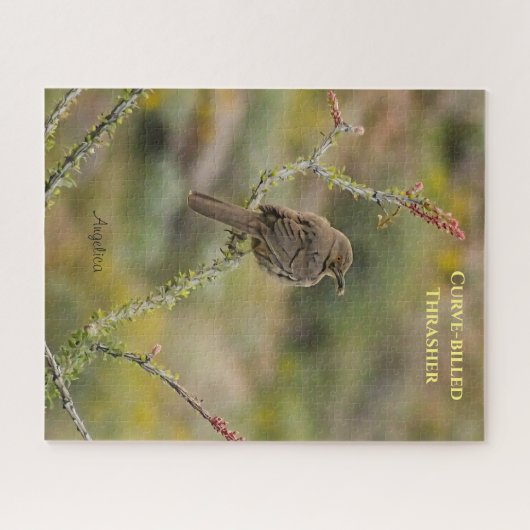 Curve-Thrasher-Vogel auf Ocotillo Puzzle (Horizontal)