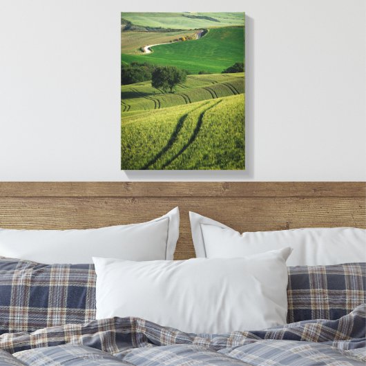 Curvise Linien in grüner Leinwand der Toskana (Insitu (Schlafzimmer))