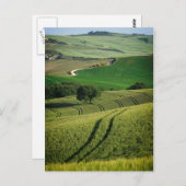 Curvise Linien in grüner toskanischer Postkarte (Vorne/Hinten)