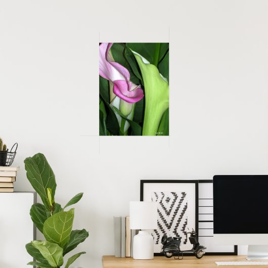 Curvy Calla Lilies Print Poster (Heimbüro)