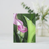 "Curvy Calla Lily" Postkarte (Stehend Vorderseite)