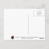 "Curvy Calla Lily" Postkarte (Rückseite)