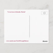 Curvy Gumbo Limbo Bäume Forida Postkarte (Rückseite)