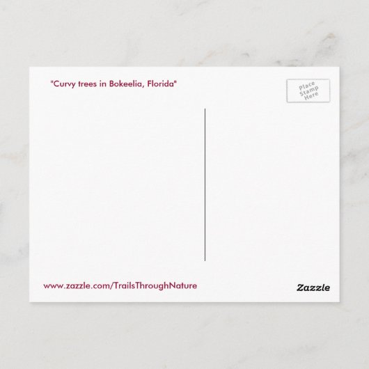Curvy Gumbo Limbo Bäume Forida Postkarte (Rückseite)