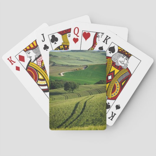 Curvy Linien in der grünen Toskana-Pokerplattform Spielkarten (Rückseite)