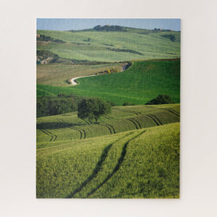 Curvy Linien in einer grünen Toskana-Landschaft Puzzle
