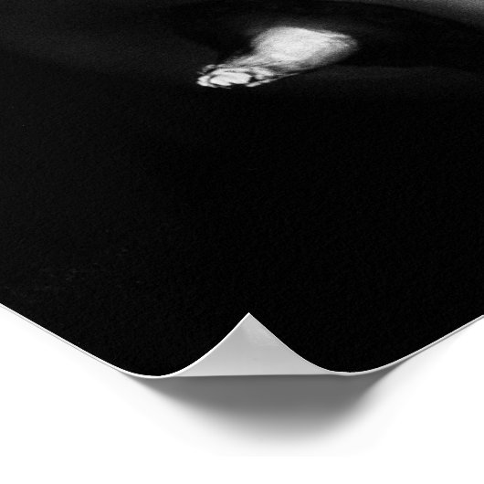 Curvy Pepper Nah Schwarzweißfotografie Poster (Ecke)