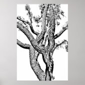 Curvy Tree in Schwarz-Weiß-Poster Art Poster (Vorne)