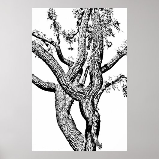 Curvy Tree in Schwarz-Weiß-Poster Art Poster (Vorne)