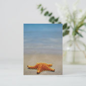 Cushion Starfish Postkarte (Stehend Vorderseite)