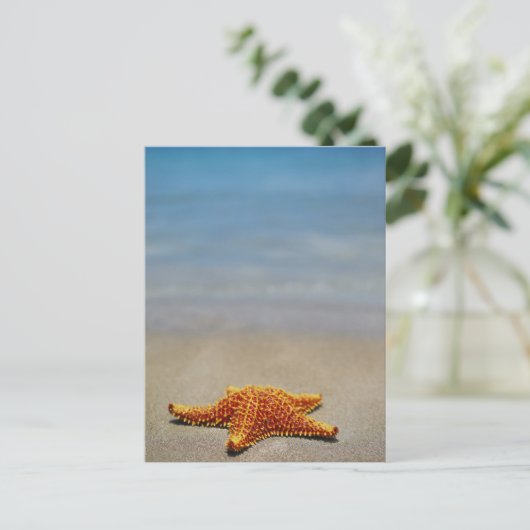 Cushion Starfish Postkarte (Stehend Vorderseite)