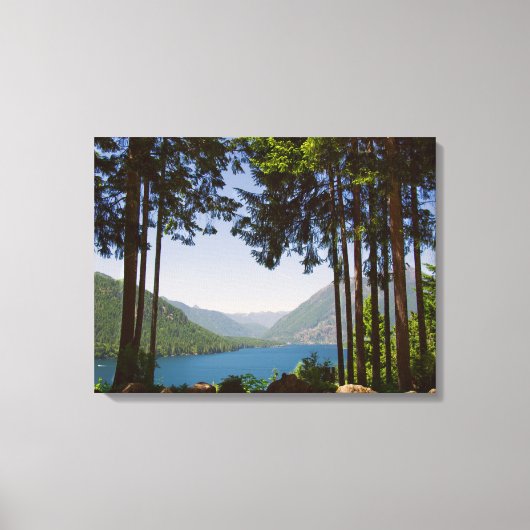 Cushman-See im Sommer Leinwanddruck (Vorderseite)
