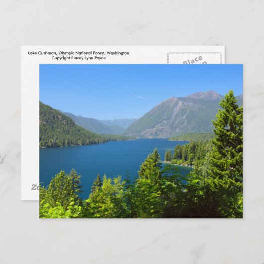 Cushman-See im Sommer Postkarte (Vorne/Hinten)