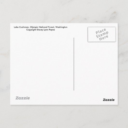 Cushman-See im Sommer Postkarte (Rückseite)