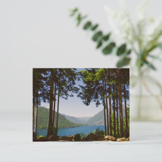 Cushman-See im Sommer Postkarte (Stehend Vorderseite)