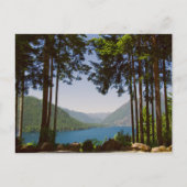 Cushman-See im Sommer Postkarte (Vorderseite)