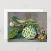 Custard Apple - Marianne North Postcard Postkarte (Vorne/Hinten)