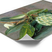 Custard Apple - Marianne North Poster (Ecke)