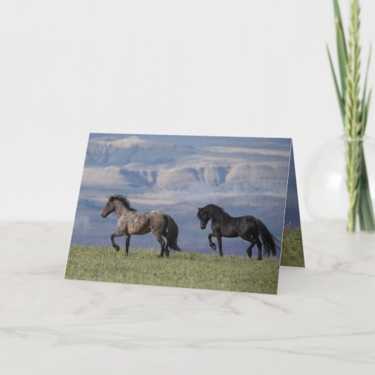 Custer and Galaxy - Wild Horse Greeting Card Karte (Vorderseite)
