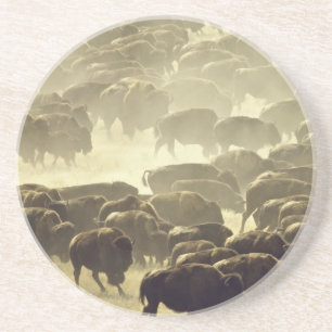 Custer Buffalo Roundup Untersetzer