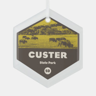 Custer Staat Park South Dakota Ornament Aus Glas