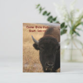 Custer Staat Park, South Dakota Postcard Postkarte (Stehend Vorderseite)