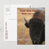 Custer Staat Park, South Dakota Postcard Postkarte (Vorne/Hinten)