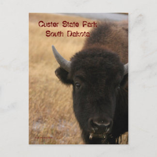 Custer Staat Park, South Dakota Postcard Postkarte