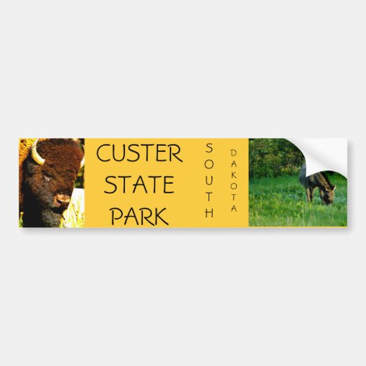 Custer Staats-Park-Autoaufkleber Autoaufkleber (Vorne)