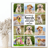 Custom 11 Foto Collage Beileid Pet Memorial Fotoplatte