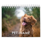 Custom 14 Photo Pet Dog 14 Name Picture Template Kalender (Titelbild)