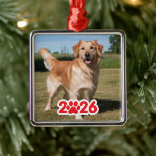 Custom 2026 Pet-Foto Ornament Aus Metall