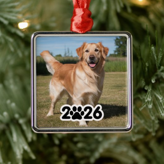 Custom 2026 Pet-Foto Ornament Aus Metall (Baum)