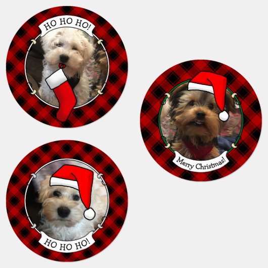 Custom 3 Foto Frame Template Kariert Etiketten (Gruppe)