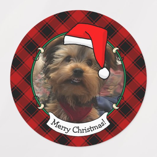 Custom 3 Foto Frame Template Kariert Etiketten (Design 2)