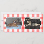 Custom 3 Foto Red & White Country Bauernhof Karier (Rückseite)