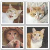 Custom 4 Foto Collage Simple Square Tiny Vinyl Aufkleber (Vorderseite)