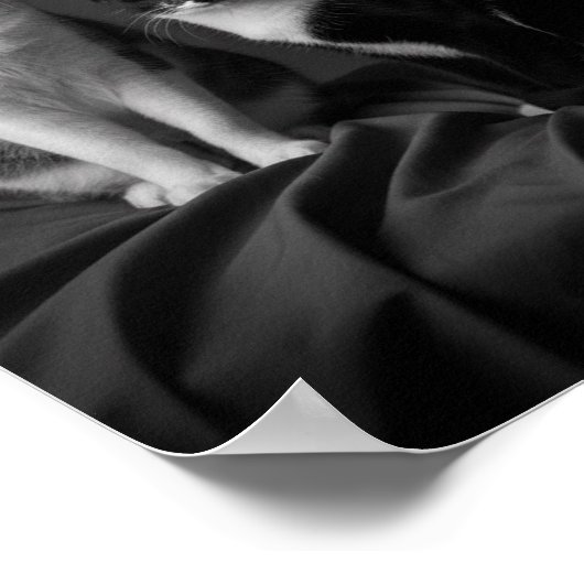 Custom 4K Black & White Pet Portrait Poster (Ecke)