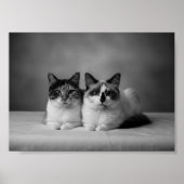 Custom 4K Black & White Pet Portrait Poster – Prof (Vorne)