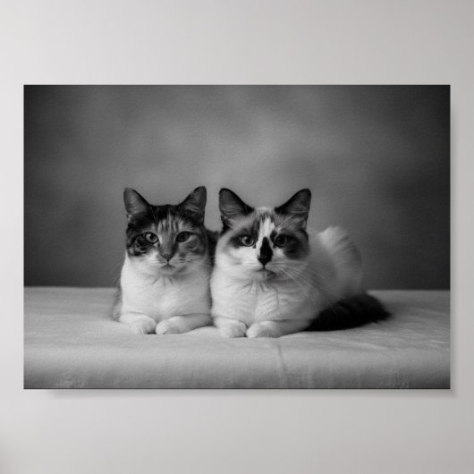 Custom 4K Black & White Pet Portrait Poster – Prof (Vorne)