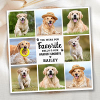 Custom 8 Foto Collage Pet Hund Verlust Erinnerung