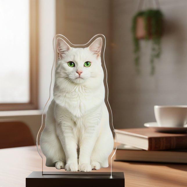 Custom Acrylic Cat Photo Cutout Statue Freistehende Fotoskulptur (Your Cat Photo Acrylic Cut Out Statue)