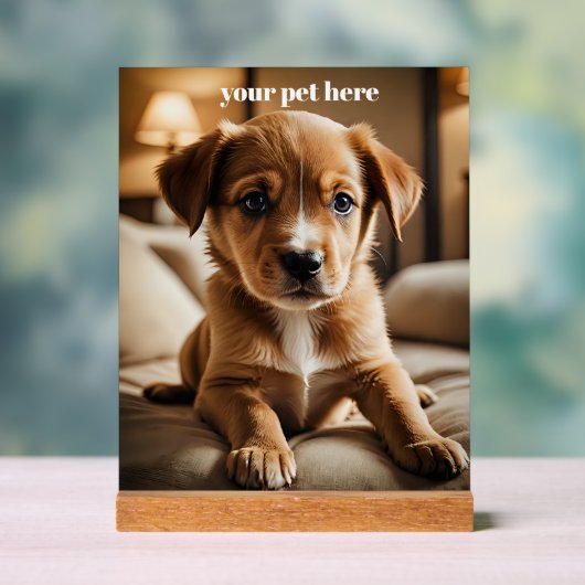 Custom Acrylschild (Neutral)