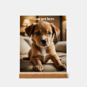 Custom Acrylschild (Vorderseite)