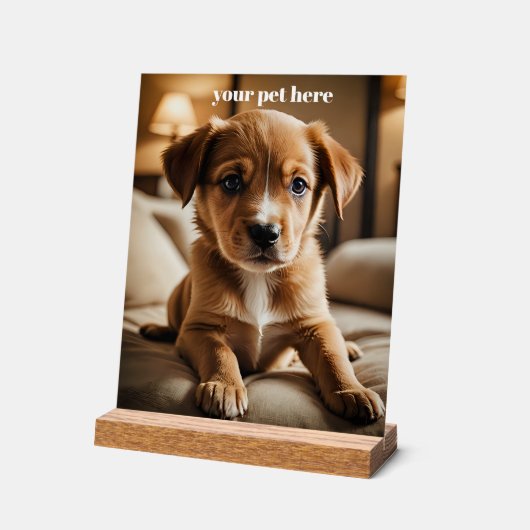 Custom Acrylschild (Winkel)